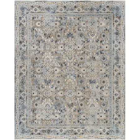 Livabliss Hassler HSL-2301 Area Rug , With Fringe HSL2301-1014
